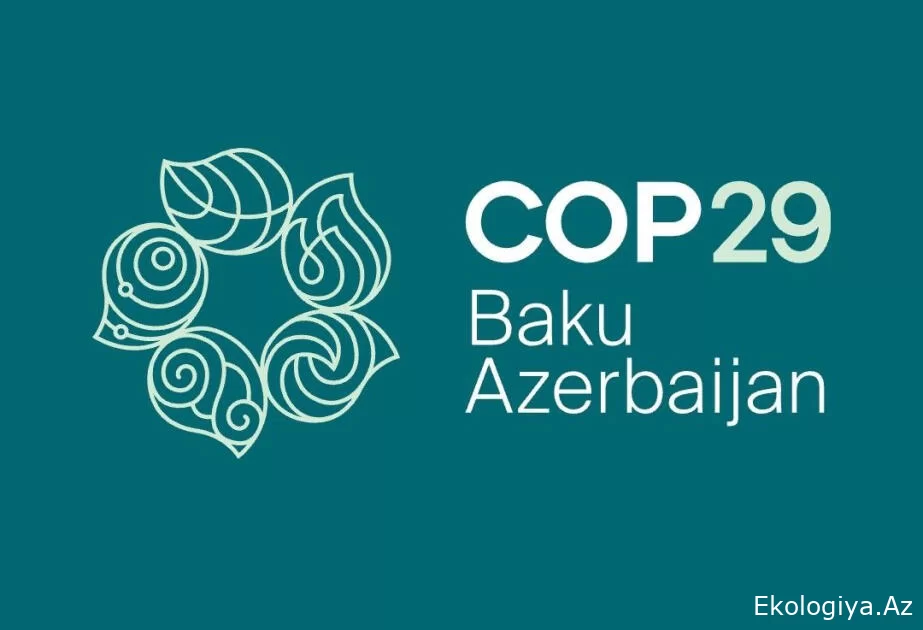 Sosial"Gənc diplomatlar" Azərbaycanı təbrik etdi