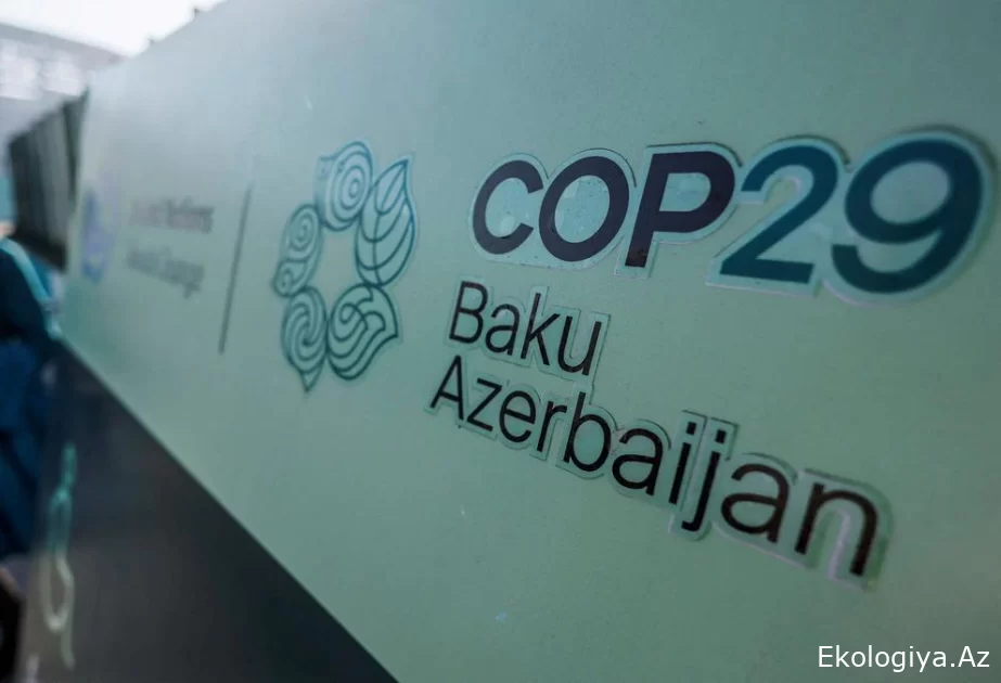COP29-un yekunu dünya mediasının diqqət mərkəzindədir
