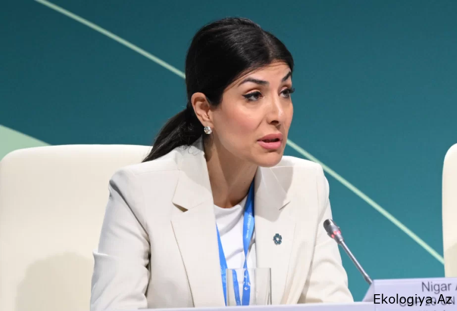Nigar Arpadarai: Azərbaycan Prezidentinin uzaqgörənliyi COP29-un tarixdəki yerini təmin etdi