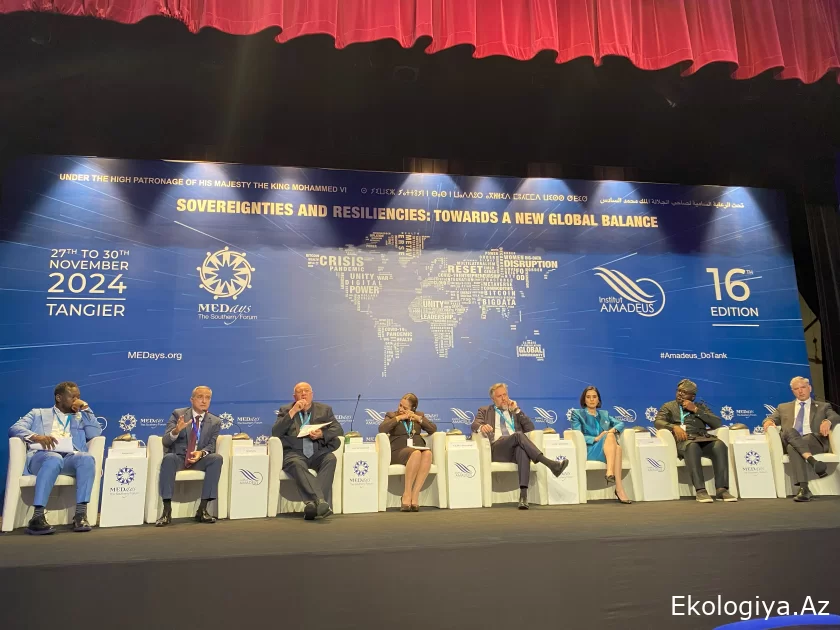 Fərid Şəfiyev: COP29-da yeni iqlim maliyyəsi mexanizmlərinin yaradılması vacib nailiyyətdir