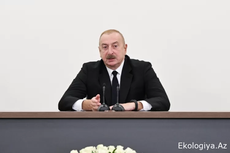 Prezident: Qlobal ekoloji problemlər bəşəriyyətin mövcudluğu və gələcəyi üçün ciddi təhdidlər yaradır