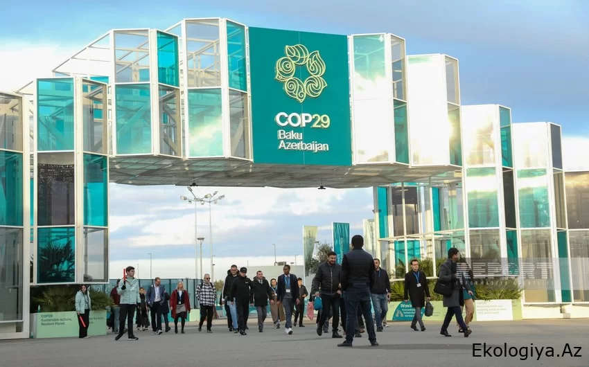 Ekspert: Azərbaycan iqtisadiyyatı COP29-dan sonra yaşıl, dayanıqlı və alternativ iqtisadiyyata transformasiya oluna bilər
