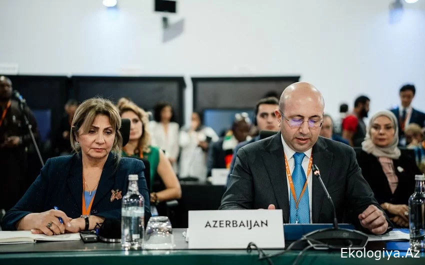 COP29-da Dayanıqlı Şəhərlər üçün Multisektor Fəaliyyət Yolu təsis olunacaq