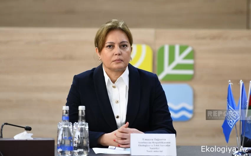 Nazir müavini: Azərbaycan iqlim fəaliyyətlərinin təşviqinə və milli hədəflərə çatmağa sadiqdir