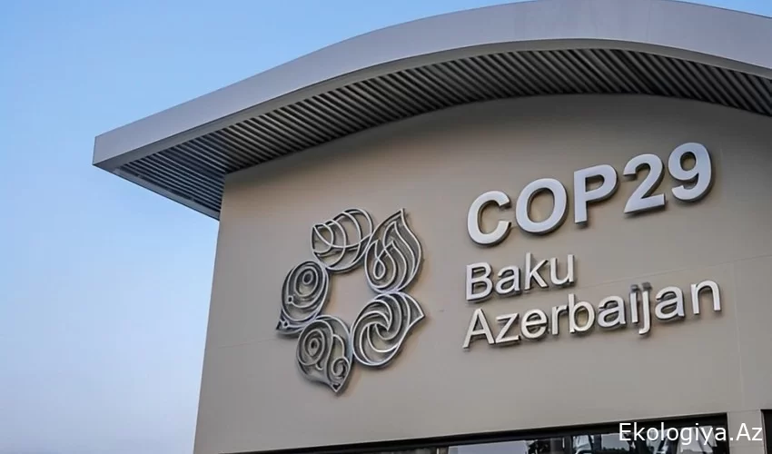 Azərbaycanda COP29 çərçivəsində keçiriləcək tədbirlərin proqramı AÇIQLANDI