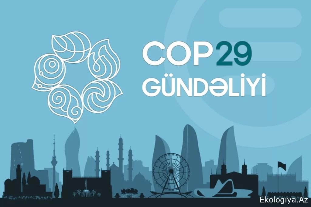 COP29 gündəliyi - 21.11.2024