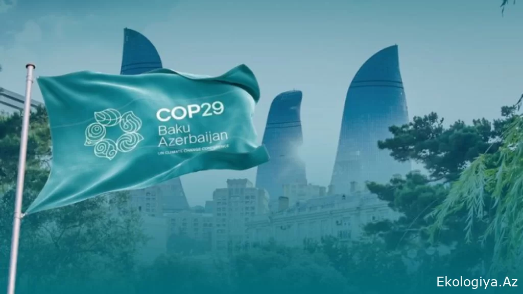 COP29 günlərində Bakıda 2-ci Yüksək Səviyyəli Nazirlər Dialoqu keçiriləcək