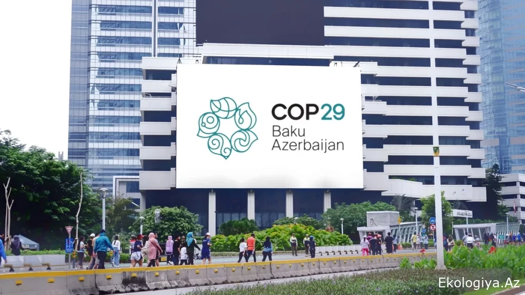 Şamil Ayrım: "COP29 Azərbaycanın yaşıl iqtisadiyyata keçiddə nümunəvi ölkə olmasına töhfə verəcək"