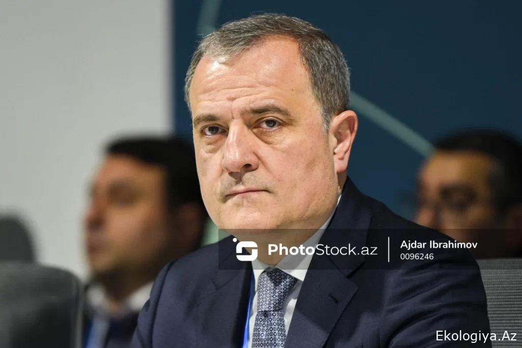 Ceyhun Bayramov: "Fransanın bəhanə ilə iqlim mövzusundan kənar qalması yanlış addımdır"