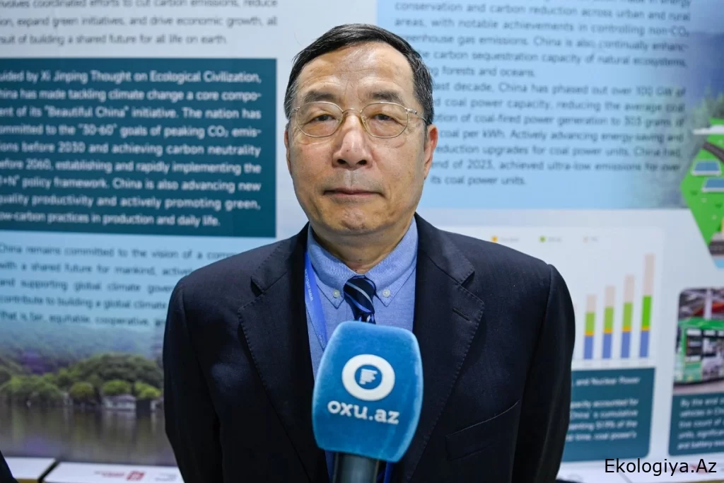 Çinli ekspert COP29-un Azərbaycanda təşkilini yüksək qiymətləndirib