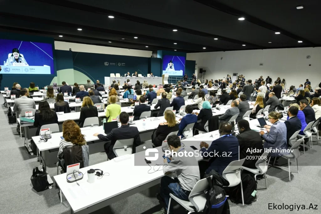 BMT-nin icraçı direktoru: "COP29-da biz tarixi uğura imza atdıq"