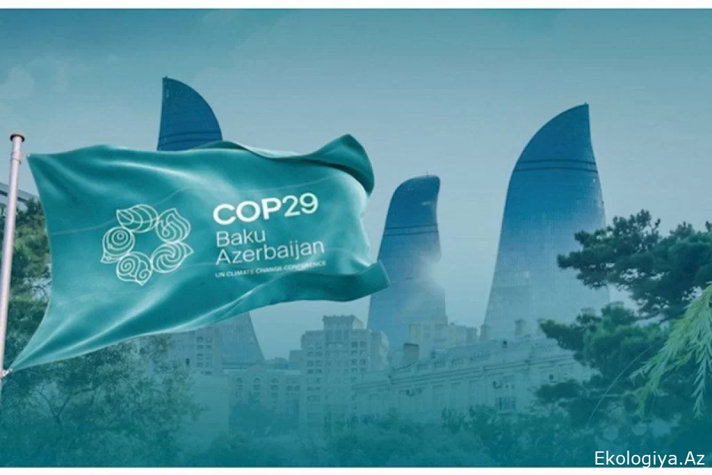 “Euronews” Azərbaycanın COP29-a hazırlığı ilə bağlı reportaj təqdim edib - VİDEO