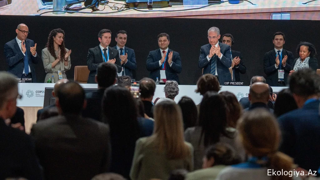 "Azərbaycan dünyaya öz qonaqpərvərliyini göstərdi" - COP29 prezidenti