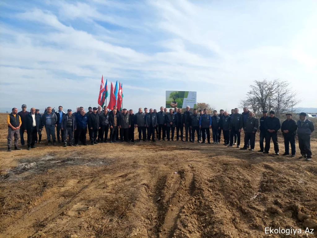 Şəkidə aksiya nəticəsində 10000 ədəd ağac əkilib - VİDEO/FOTO
