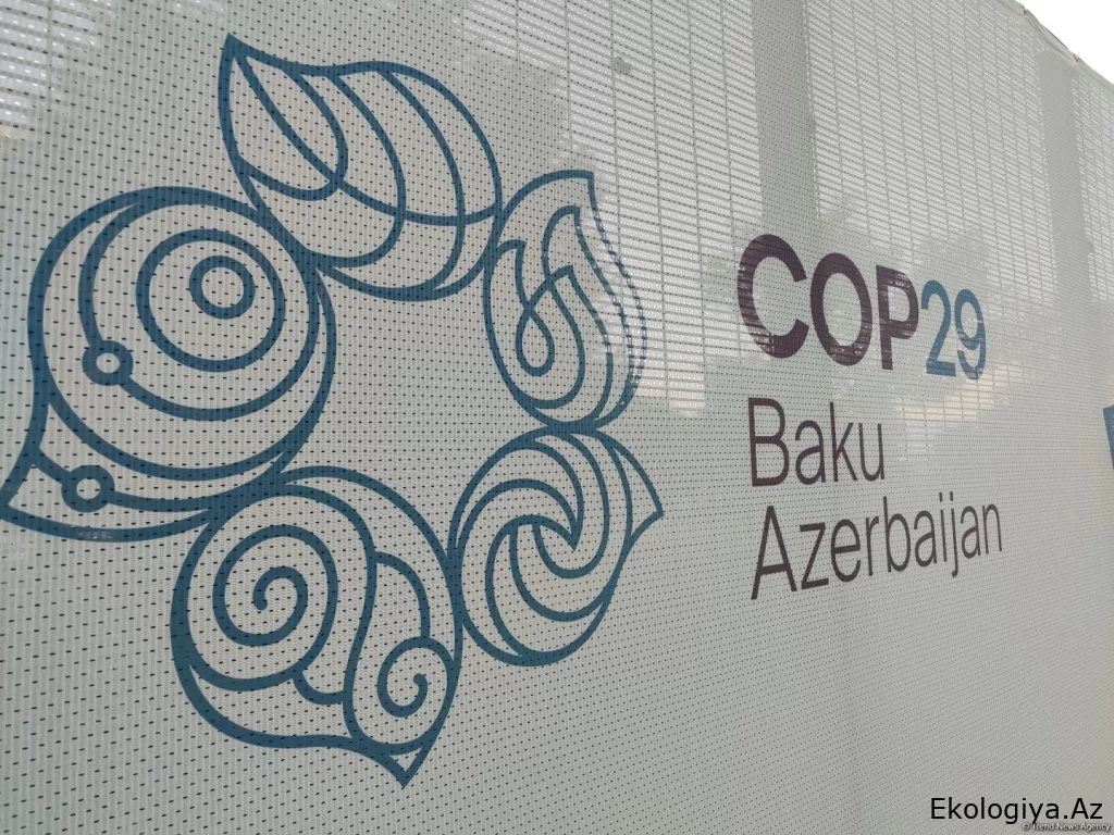 Özbəkistan COP29-da iştirak edəcək