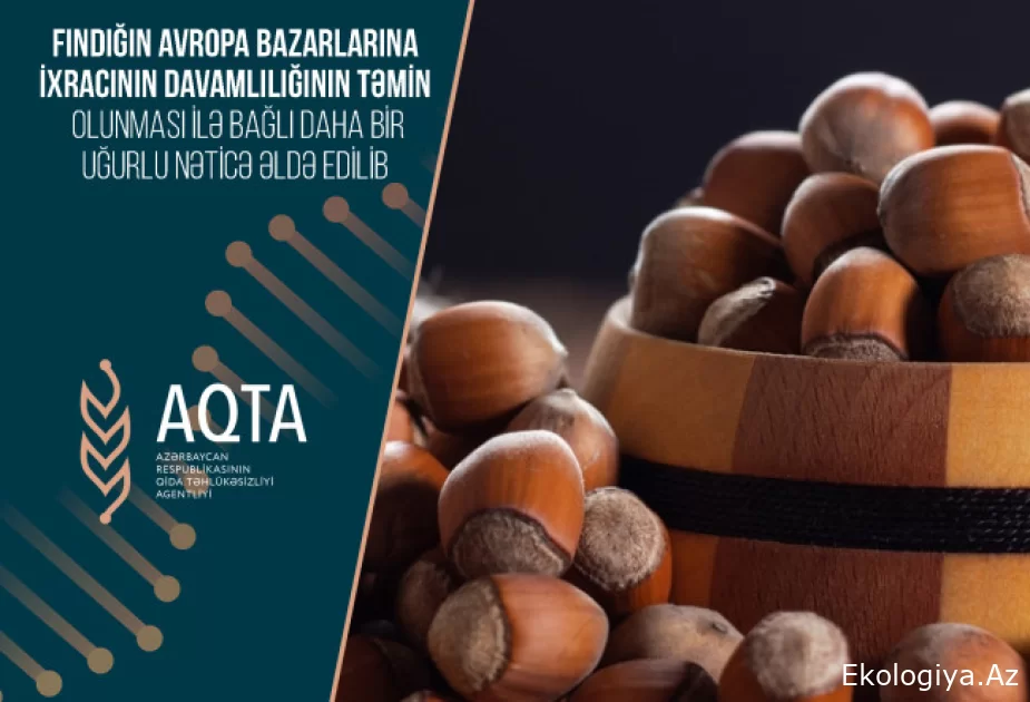 Azərbaycandan fındığın Avropa bazarlarına ixracının davamlılığının təmin olunması ilə bağlı daha bir uğurlu nəticə əldə edilib