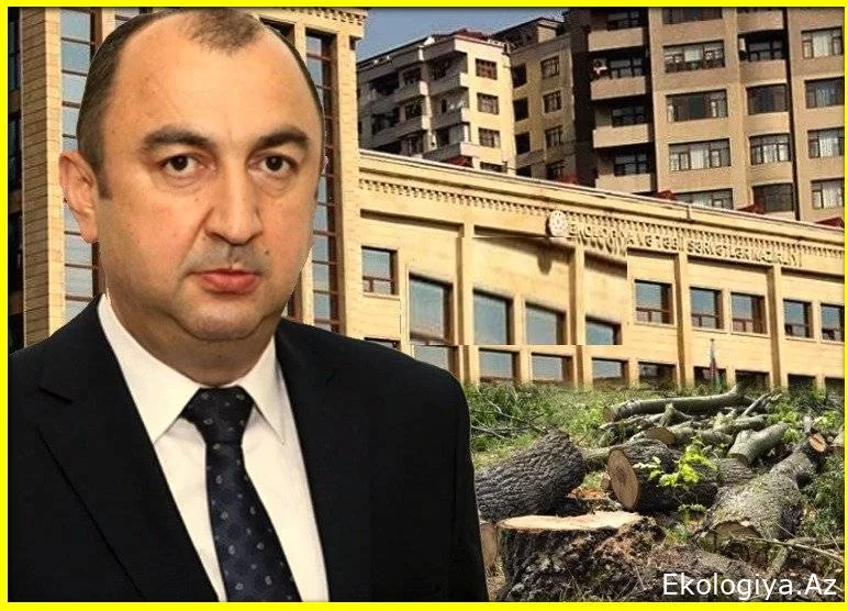 Vüqar Kərimov: Azərbaycanda keçirilən bütün uğurlu tədbirlərdə könüllülərin rolu böyükdür