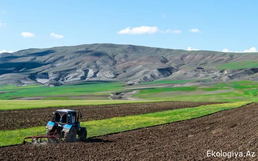 Torpaqların icarə haqları azaldıla bilər