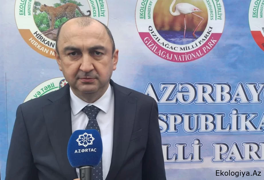 Nazir müavini: Qarabağda yeni Milli Parkın yaradılması ilə bağlı işlər yekunlaşmaq üzrədir