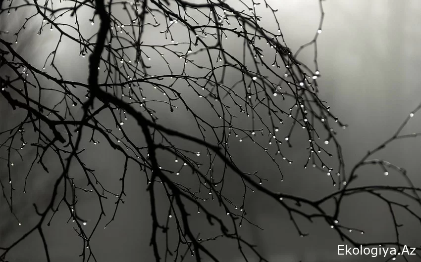 Hava kəskin dəyişəcək, temperatur 10 dərəcə aşağı enəcək - Bu tarixlərlə bağlı XƏBƏRDARLIQ