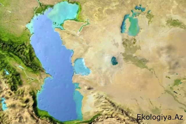 "Xəzər regionu yaşıl enerji ixracında böyük potensiala malikdir" - Britaniya