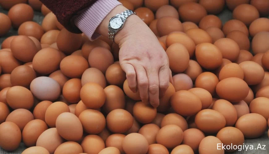 Bakıda yumurtanın qiyməti BAHALAŞDI? - AÇIQLAMA