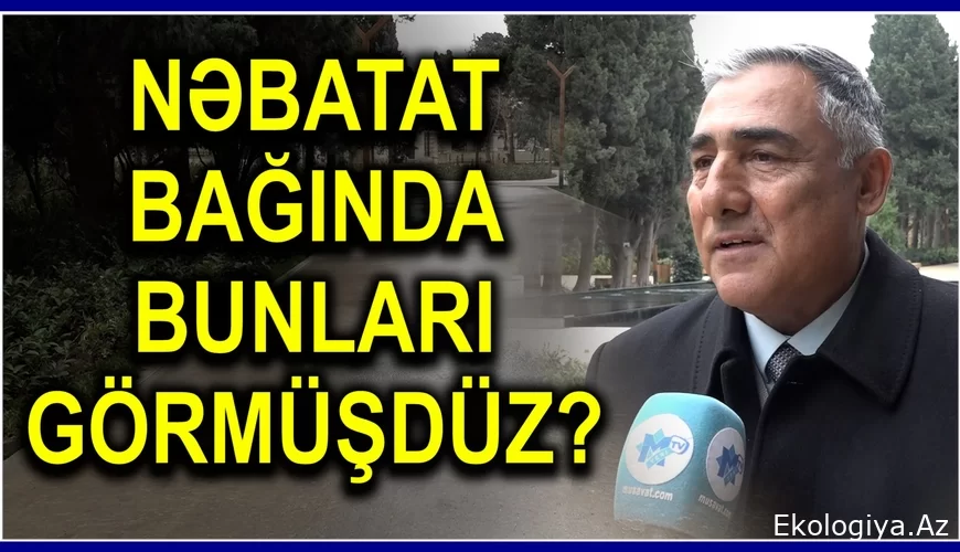 Bakı sakinlərindən yenilənmiş Nəbatat Bağı haqda UNİKAL SÖZLƏR - VİDEO