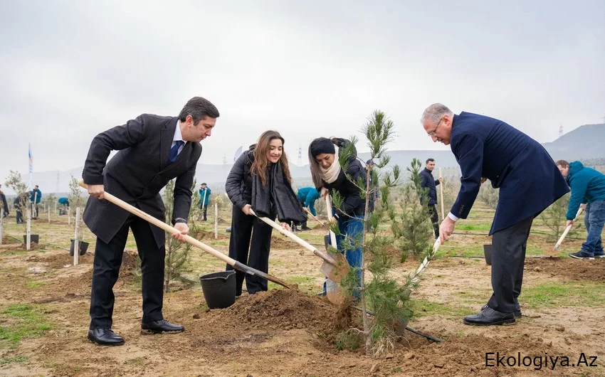 ETSN və Azərbaycanın COP komandası ağacəkmə aksiyası keçirib - FOTO