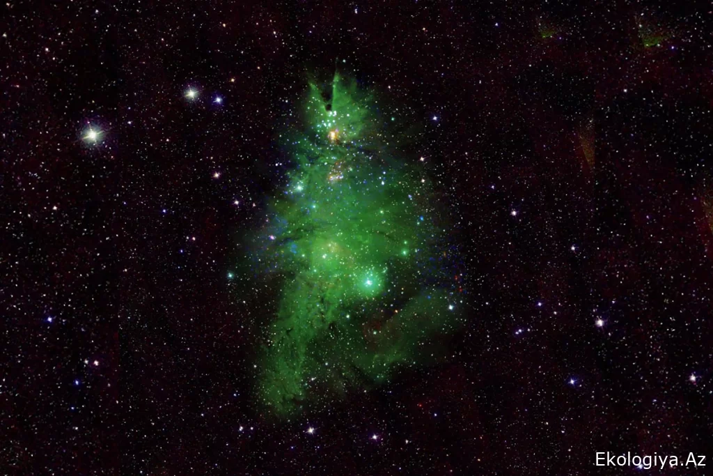 Kosmosdan Milad "sürprizi": NASA "kosmik yeni il ağacı"nın görüntüsünü təqdim etdi