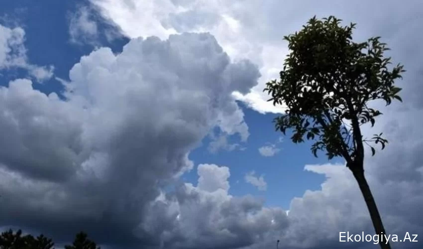 Sabaha olan hava ilə bağlı təcili MƏLUMAT