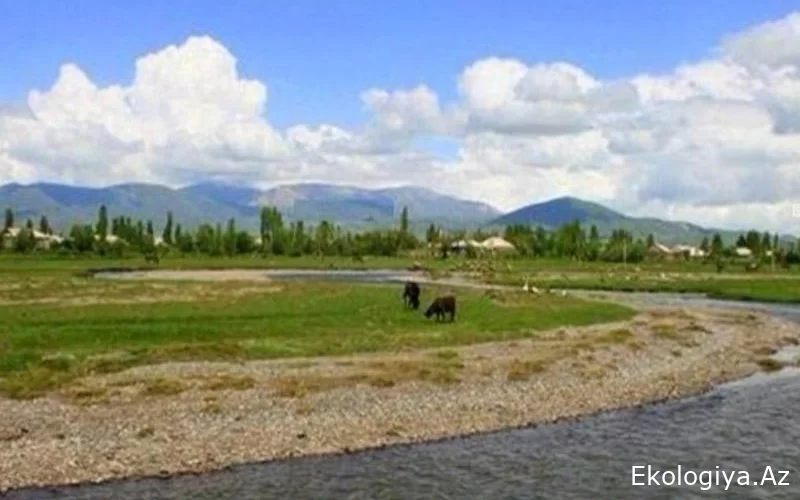 Bakıda 1 sot torpaq 200 min manata təklif edilir