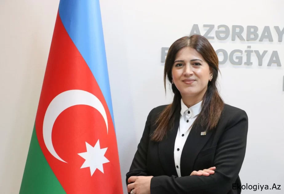Ova yalnız müvafiq ov sahələri və ovçuluq təsərrüfatları ərazilərində icazə verilir