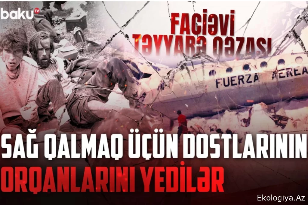 72 gün dağda qalanların möcüzəvi qurtuluşu