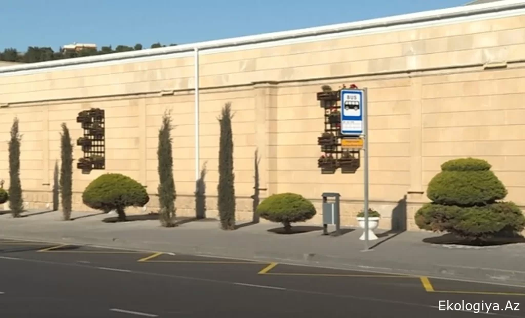 Avtobus dayanacağının nişanı var, özü isə yoxdur - Sərnişinlərdən ŞİKAYƏT