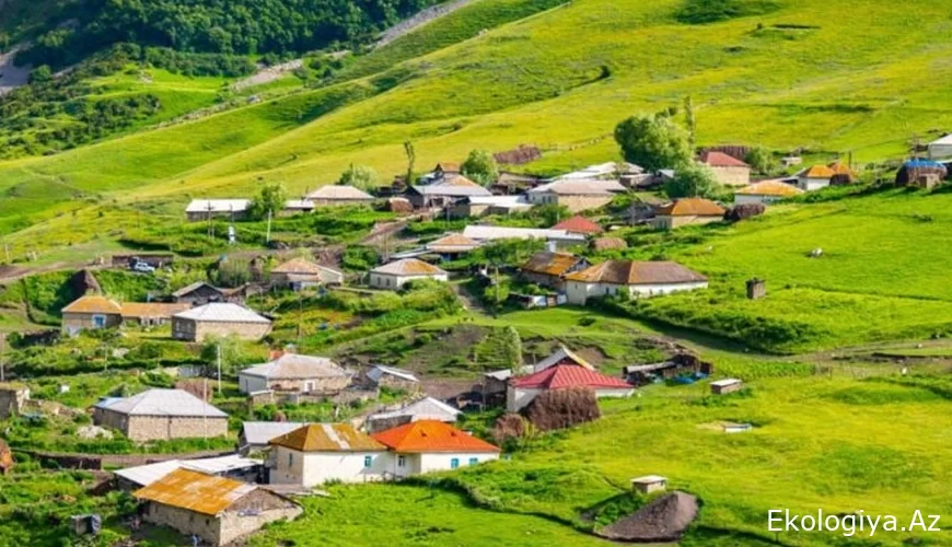 “Azərbaycanda kiçik kəndlərin birləşdirilməsi qaçılmazdır” - TƏKLİF