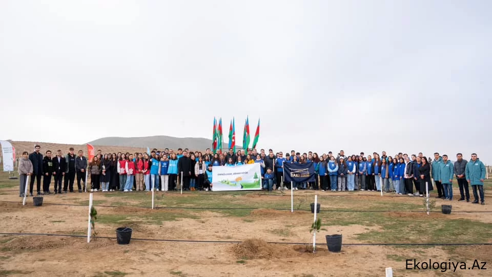 Müşfiqabad qəsəbəsində "Azərbaycan Gəncləri Günü”nə həsr olunmuş ağacəkmə aksiyası keçirilib/FOTO