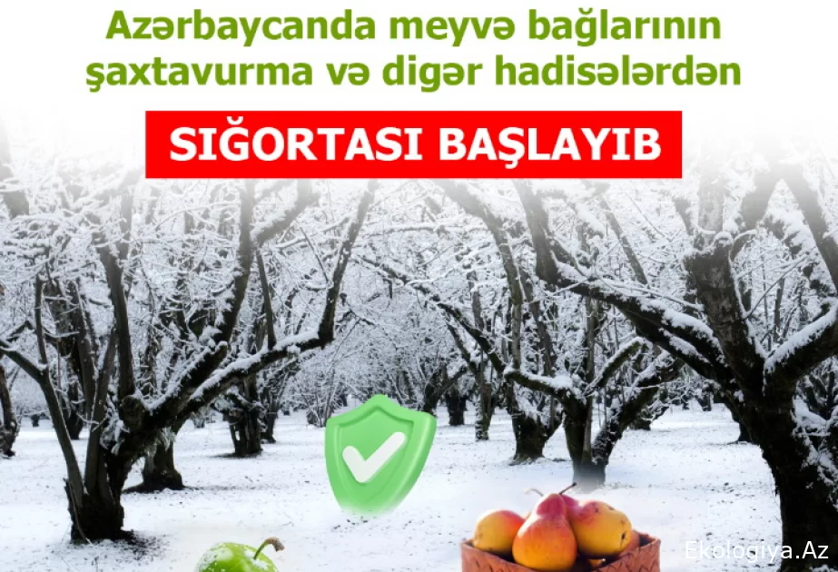 Azərbaycanda meyvə bağlarının şaxta və digər hadisələrdən sığortası başlayıb