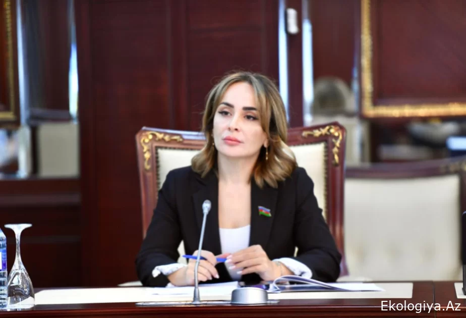 Böyük Qayıdış strategiyası Qarabağı və Şərqi Zəngəzuru yeni inkişaf modelinə çevirməyi hədəfləyir – RƏY