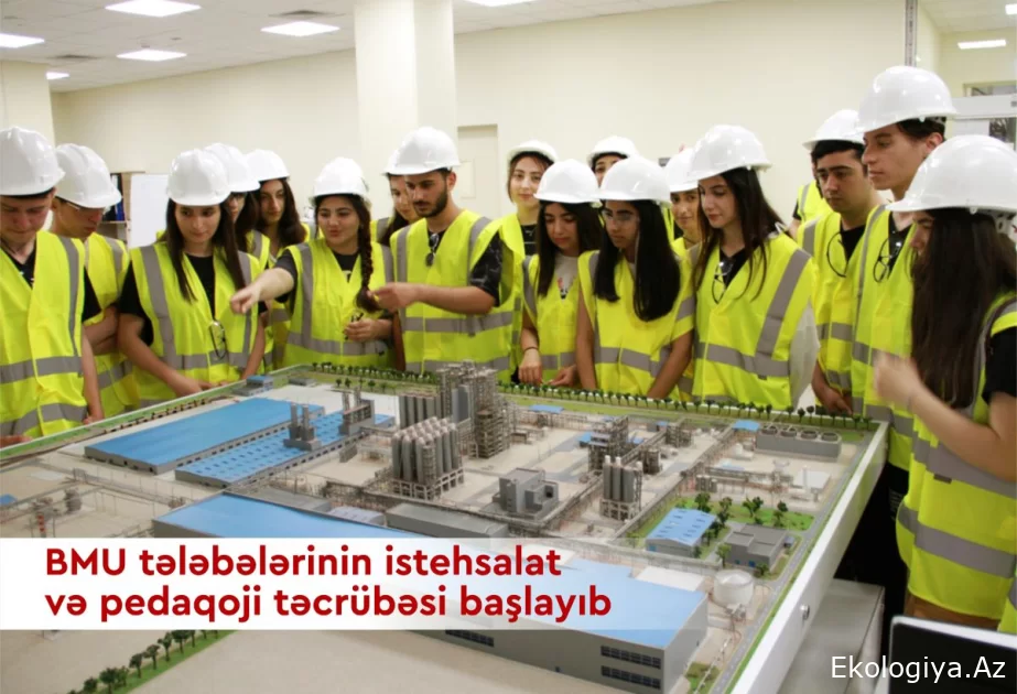 BMU tələbələrinin istehsalat və pedaqoji təcrübəsi başlayıb