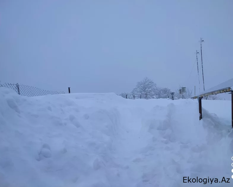 ETSN: Bakıda və Abşeron yarımadasında iqlim normasından 7,5 dərəcə aşağı temperatur müşahidə olunur