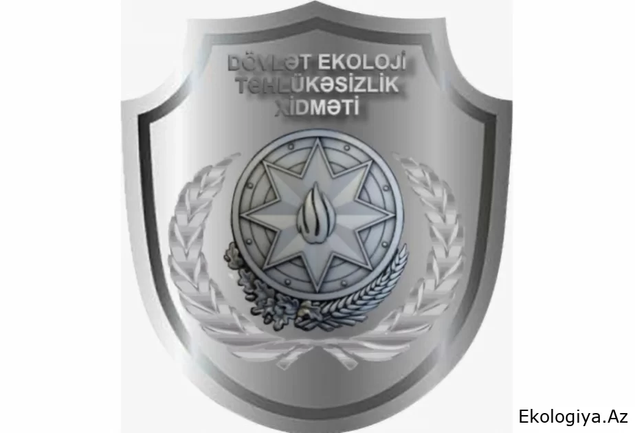 Dövlət Ekoloji Təhlükəsizlik Xidməti: Sabunçuda qanunsuz ağac kəsintisi faktı aşkar edilib