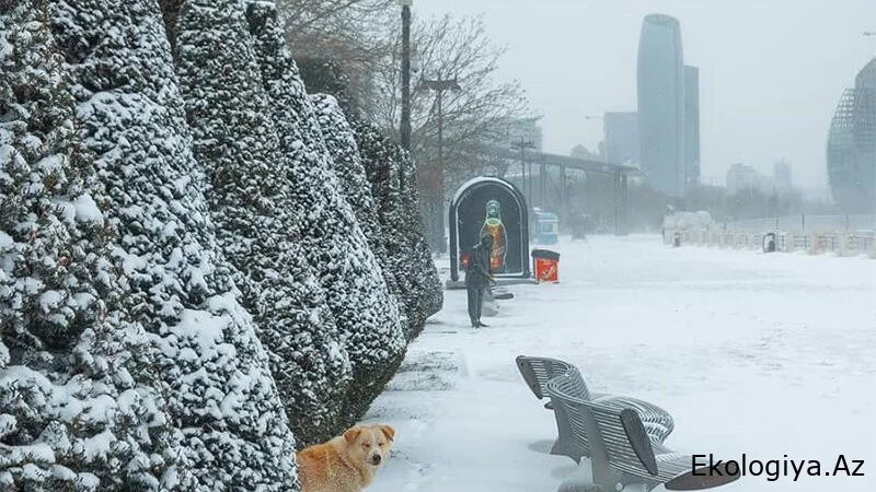 Milli Hidrometeorologiya Xidməti VACİB MƏLUMAT YAYDI: Bu gün gündüz saatlarından...