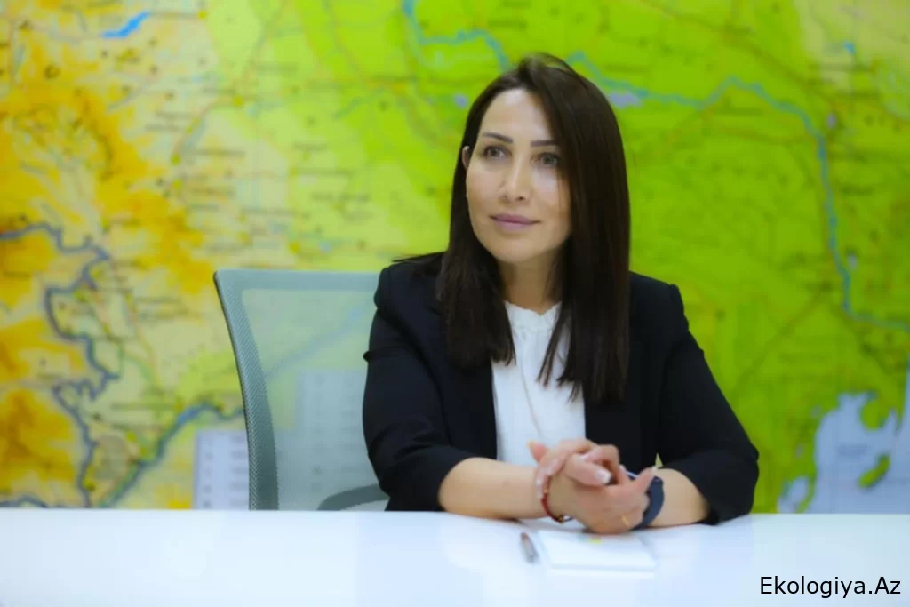 İradə İbrahimova: Qeyri-sabit hava şəraiti ilə əlaqədar əhalini ehtiyatlı və diqqətli olmağa çağırırıq