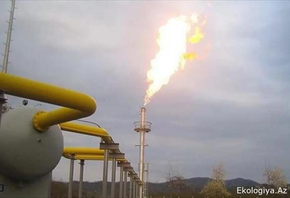 Türkiyənin energetika naziri Naxçıvana qaz nəqlinin tezliklə başlanacağını elan edib