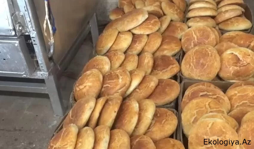 Bu çörək sexinin fəaliyyəti dayandırıldı
