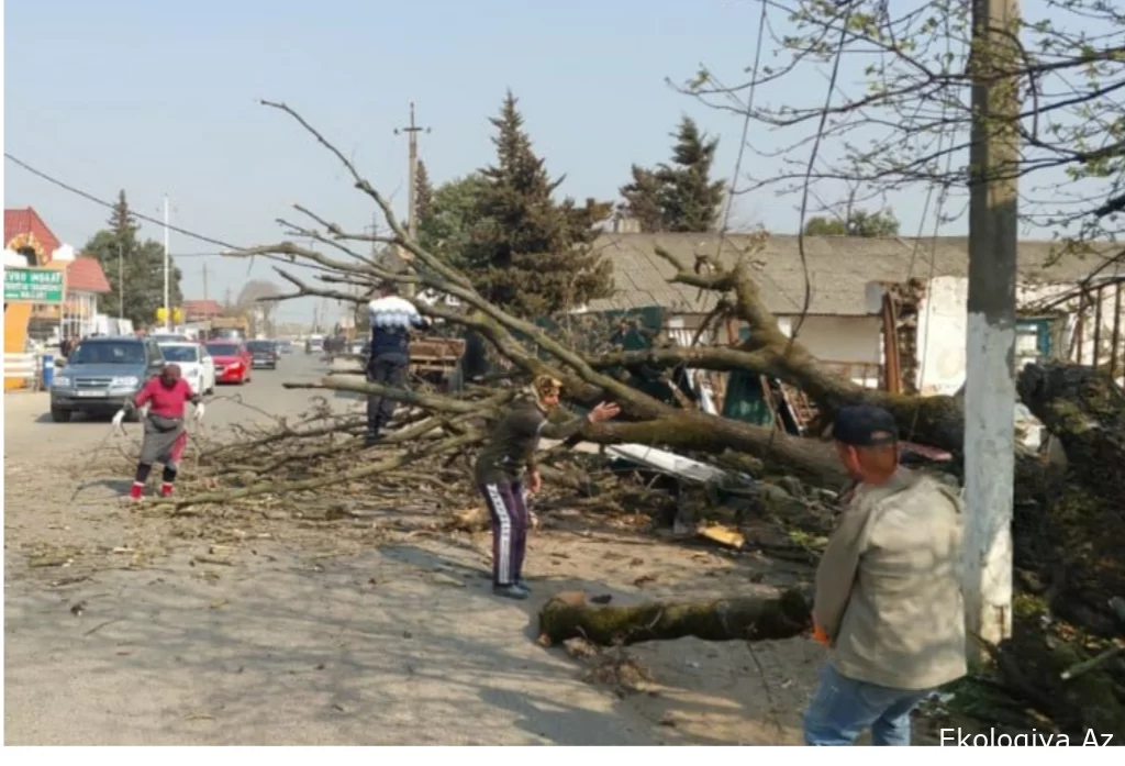 Lənkəranda 850 abonent işıqsız qaldı - SƏBƏB - FOTO