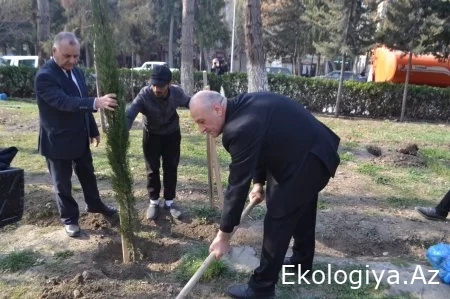 Mingəçevirdə Novruz bayramı ərəfəsində ümumşəhər iməciliyi keçirilib - FOTO