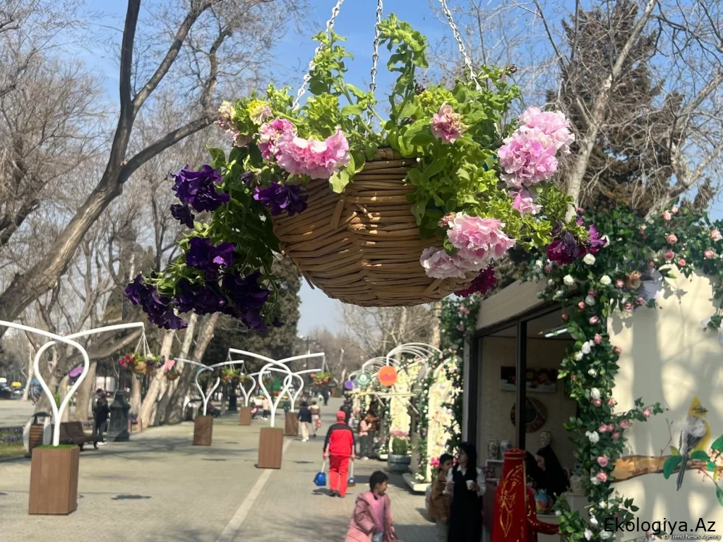 Bakı Bulvarında Novruz bayramı yarmarkası təşkil olunub (FOTO)