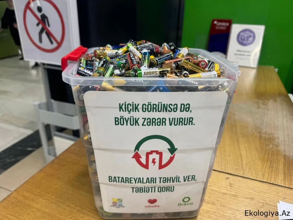 “Batareyaları təhvil ver, təbiəti qoru” layihəsi çərçivəsində ekokönüllülər tərəfindən 57 kq işlənmiş batareya təhvil alınıb