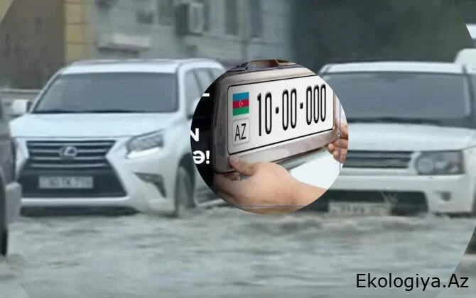 Yağışda itən avtomobil nömrələri - dublikat verilirmi? - “Cəmi 60 manata...” - AÇIQLAMA